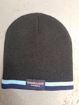 INSANE SKATEBORDS: Stanley Bird Beanie