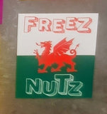 DEEZ NUTS: FRIDGE MAGNETS