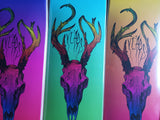 WIGHT TRASH SKATEBOARDS: DEATH/TRASH COLAB DECK  -  8",8.25",8.375",8.5",9"